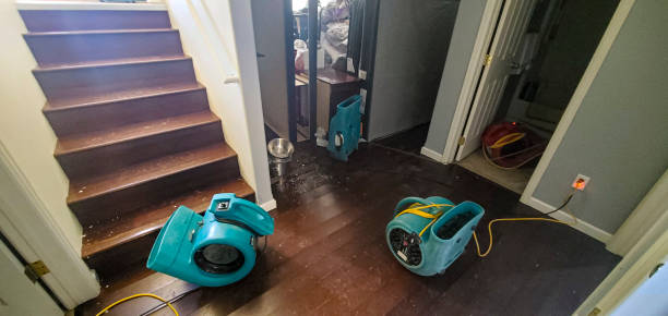 Best Water damage repair service  in Mccom, MS