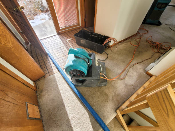 Best Water damage restoration near me  in Mccom, MS