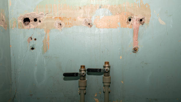 Best Professional water damage repair  in Mccom, MS