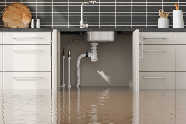 Best Commercial water damage restoration  in Mccom, MS